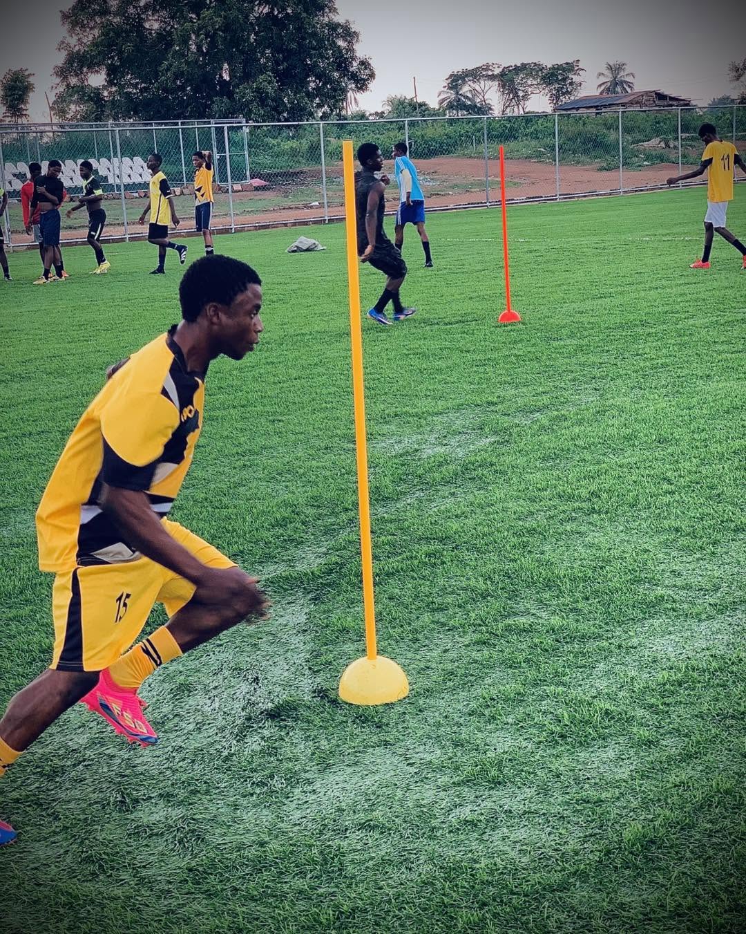 Training Sessions